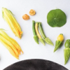Les chefs de cuisine dans leurs jardins, les légumes stars des assiettes ! … Philippe Mille : « Chaque légume nous force à être réactif et créatif »